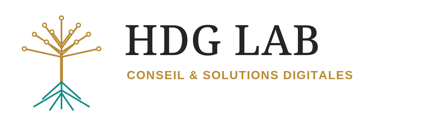 HDG LAB — Conseil & solutions digitales